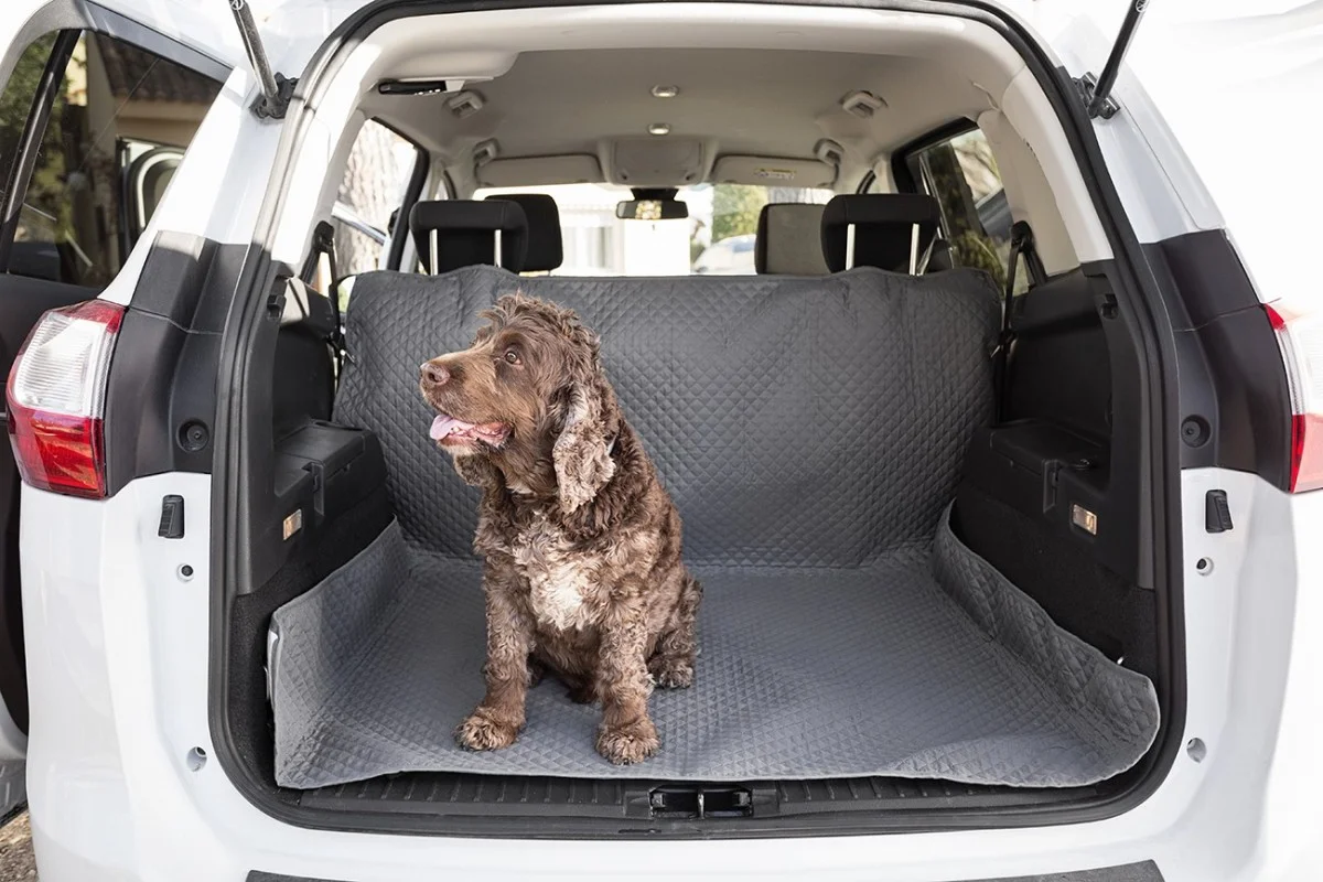 Capa para animais OSLO Protect | Impermeável e respirável | Cobertura universal | Lavagem fácil Capa para animais OSLO Protect | Impermeável e respirável | Cobertura universal | Lavagem fácil