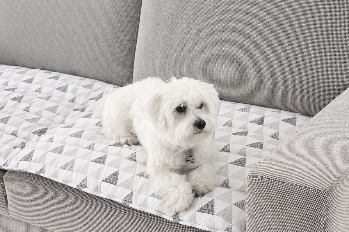 Topper PetFriendly Zazu | Antiderrapante e macio | Proteção contra pelos | Ideal para animais Topper PetFriendly Zazu | Antiderrapante e macio | Proteção contra pelos | Ideal para animais