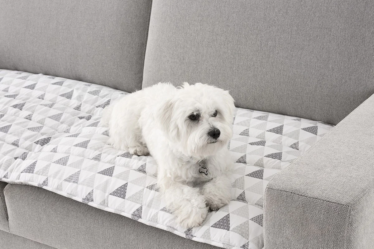 O Topper Zazu Pet-Friendly protege o seu sofá de animais de estimação e manchas O Topper Zazu Pet-Friendly protege o seu sofá de animais de estimação e manchas