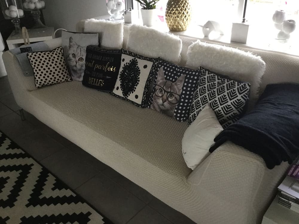 Imagen envida por nuestros clientes