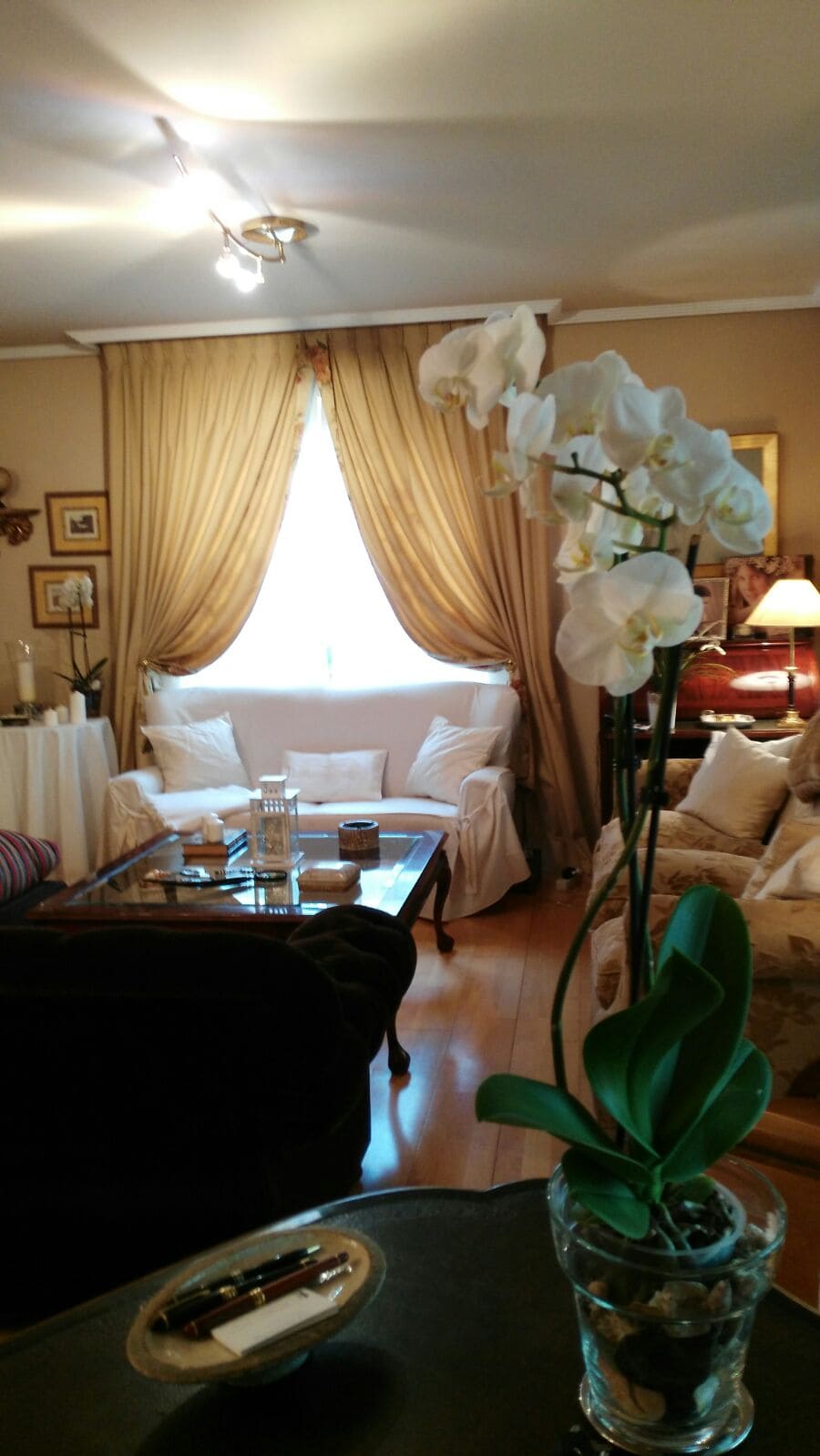 Imagen envida por nuestros clientes