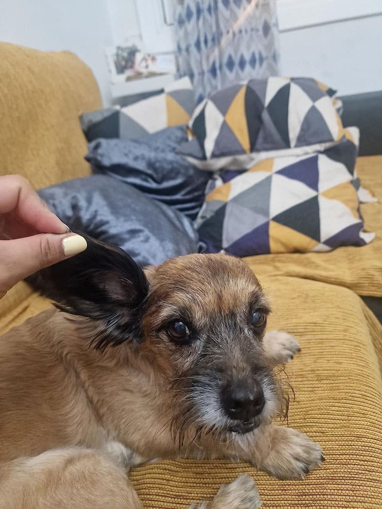 Imagen envida por nuestros clientes