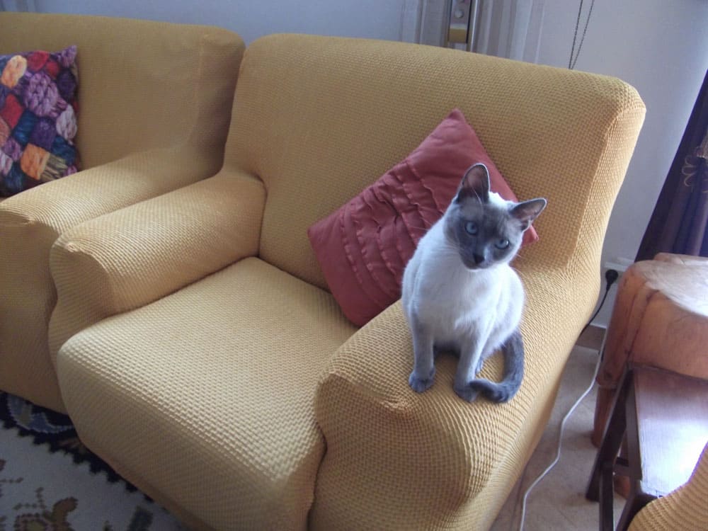 Imagen envida por nuestros clientes